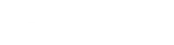 活動の様子を動画で